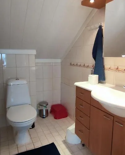 Dom wakacyjny Koivikko