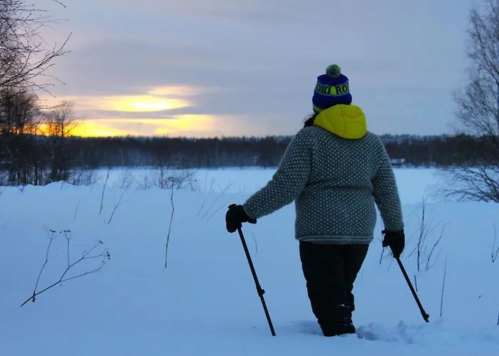 Dom wakacyjny Koivikko *